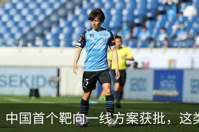 中国首个靶向一线方案获批，这类外周T细胞淋巴瘤迎新选择