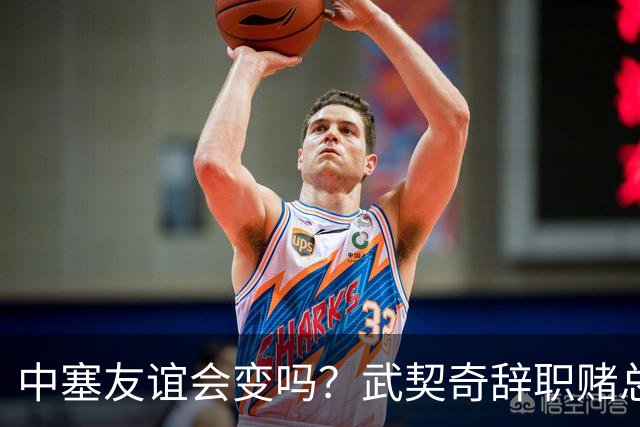 中塞友谊会变吗？武契奇辞职赌总理败选，新领导对华态度模棱两可