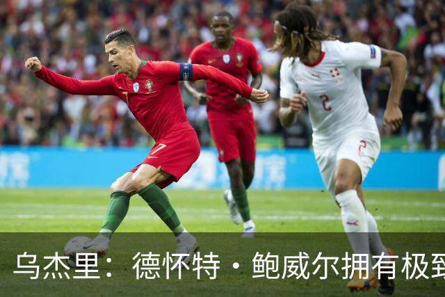 乌杰里：德怀特·鲍威尔拥有极致的专业素养 达拉斯永远是他的家