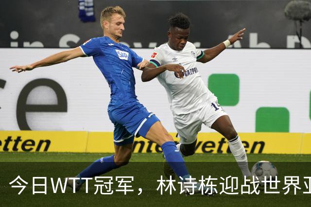 今日WTT冠军，林诗栋迎战世界亚军，如果获胜将有四大利好