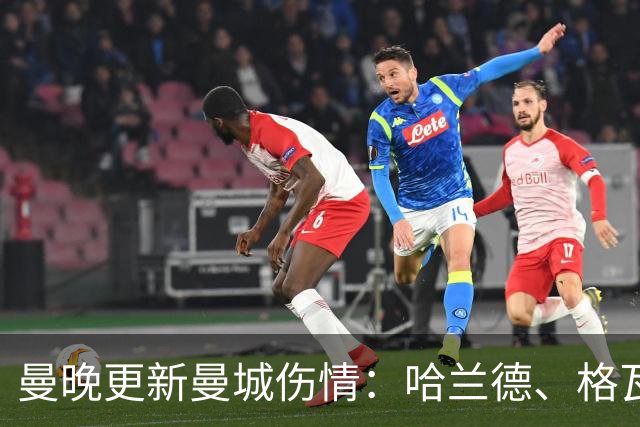 曼晚更新曼城伤情：哈兰德、格瓦可以出战维拉，塞梅尼奥12月回归