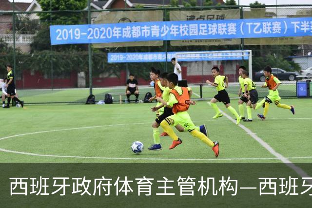 西班牙政府体育主管机构—西班牙体育理事会主席公开要求西甲主席特瓦斯，向皇马道歉