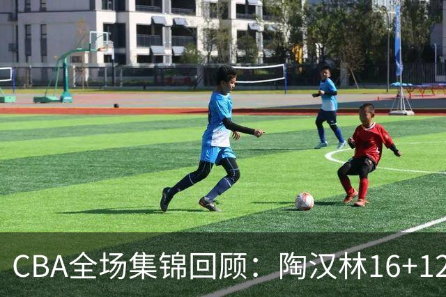 CBA全场集锦回顾：陶汉林16+12，山东力克天津